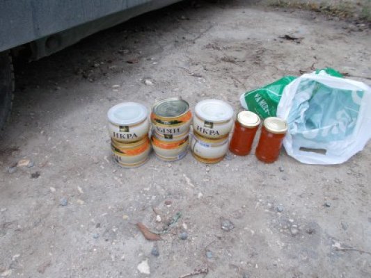 Icre de Manciuria, confiscate în Constanţa